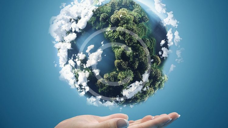Investments Into the Nature’s Future